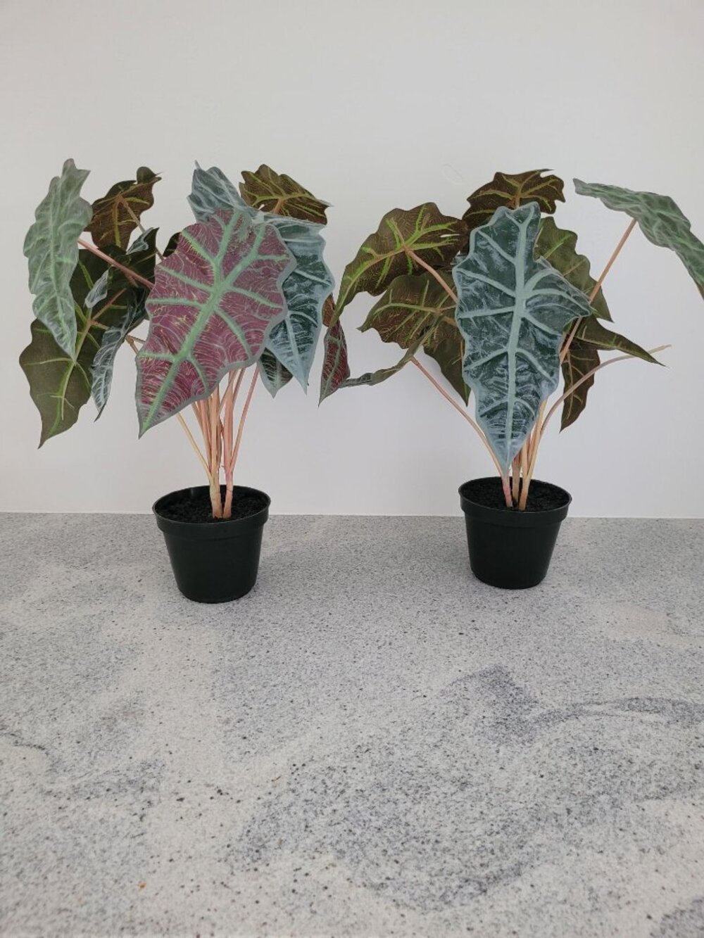 Alocasia Faux plants Qty 2  NWT